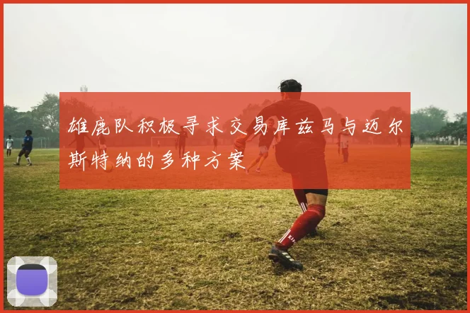 雄鹿队积极寻求交易库兹马与迈尔斯特纳的多种方案